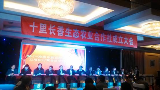 走過(guò)十里長(zhǎng)川，拉開(kāi)“十里長(zhǎng)香”品牌的序幕